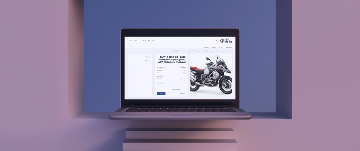 أفضل البرمجيات في الشرق الأوسط لمزادات الإنترنت